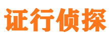 岭东侦探公司